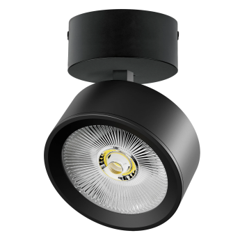 Светильник накладной LIGHTSTAR ALTA PRO A5647SO